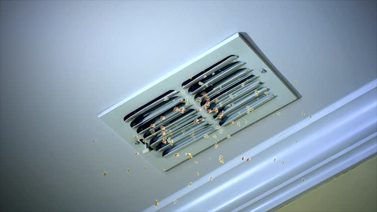 Best Home Air Vent Cleaning  in Mount Pleasant, PA