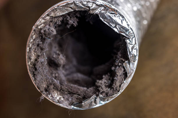 Best Local Air Duct Cleaning Services  in Mount Pleasant, PA