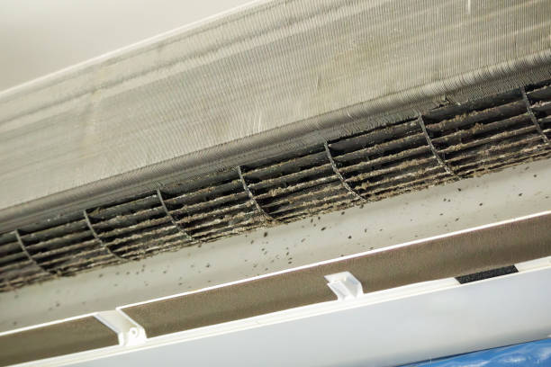 Best Affordable Air Duct Cleaning  in Mount Pleasant, PA